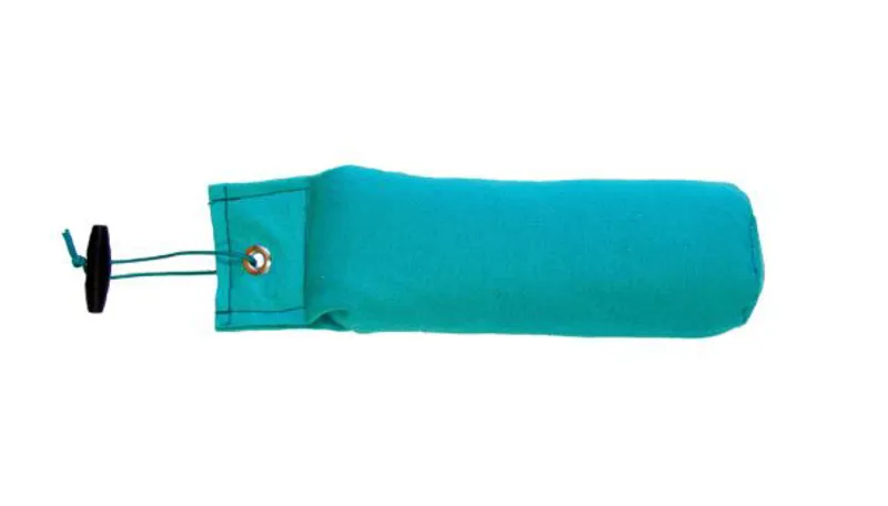 Bisley 2Ib Dog Dummy in Green